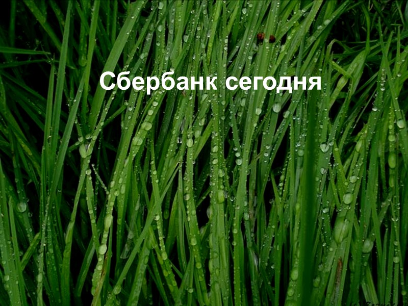 22 Сбербанк сегодня